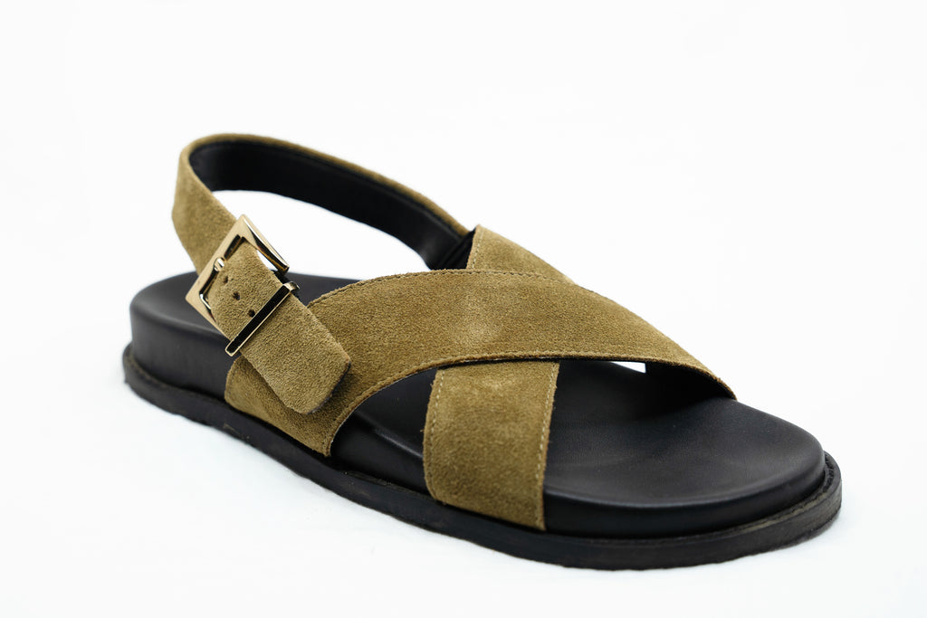 The Dewey, OLIVE